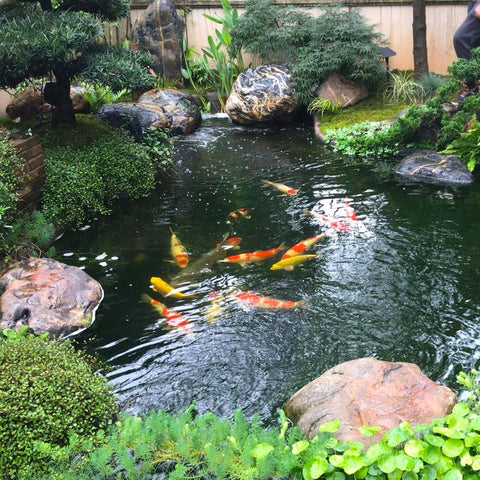 Adroiteet HDPE pond liner for outdoor ponds provides long-lasting waterproofing and puncture resistance.