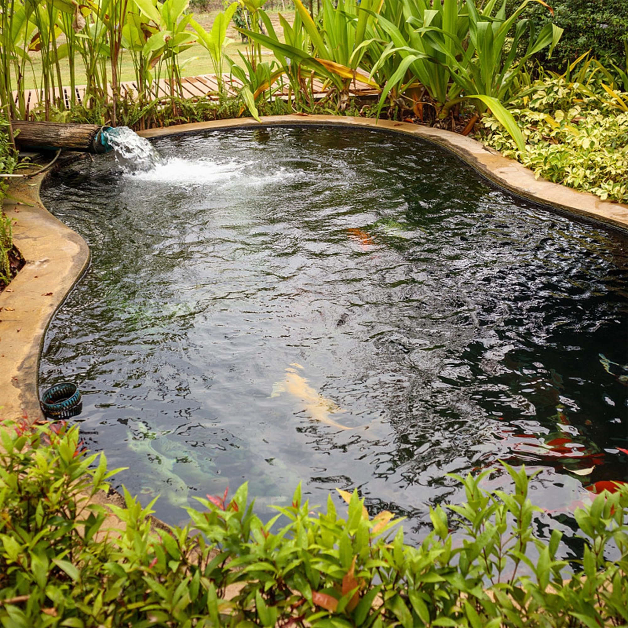 Adroiteet koi pond liner protects soil and eases maintenance.