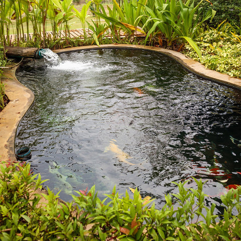 Adroiteet koi pond liner protects soil and eases maintenance.