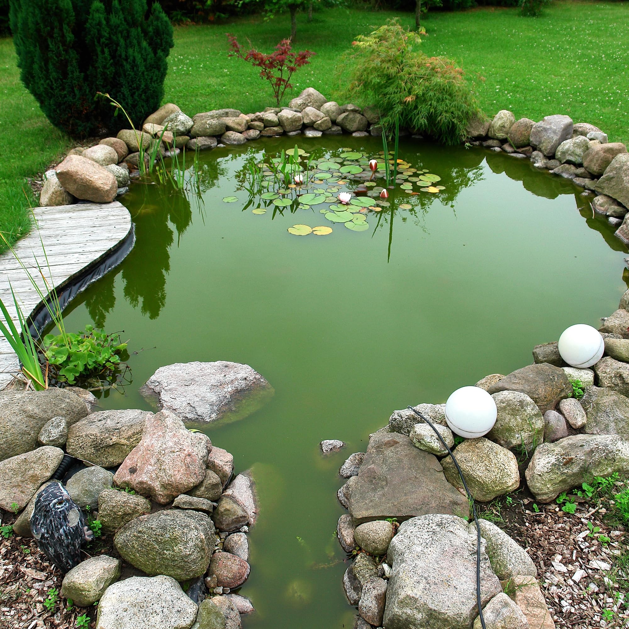 Adroiteet koi pond setup with fountain using a robust liner