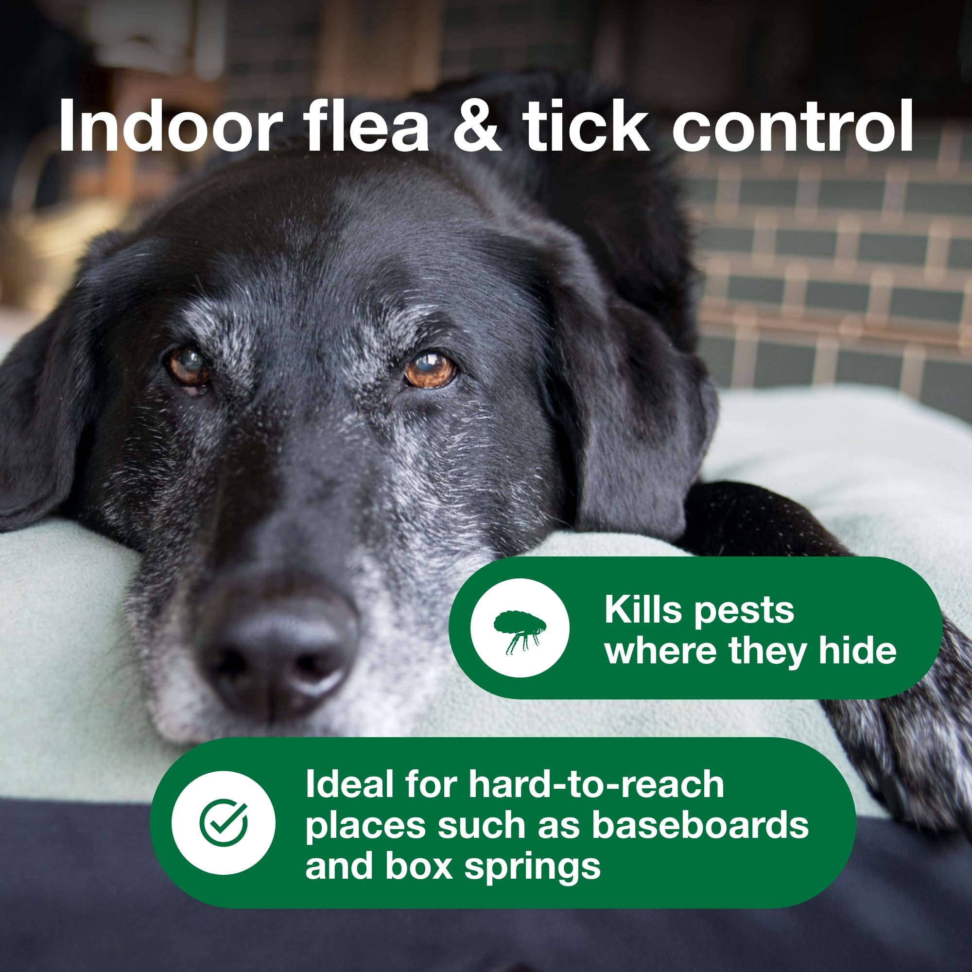 Advantage Spot & Crevice Spray targets box springs for clean sleeping areas.
