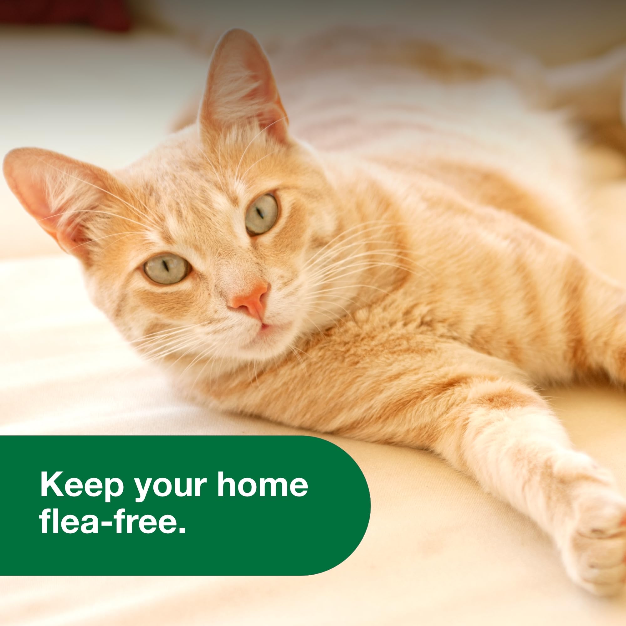 Advantage Spot & Crevice Spray in closet corners protecting against lurking insects.