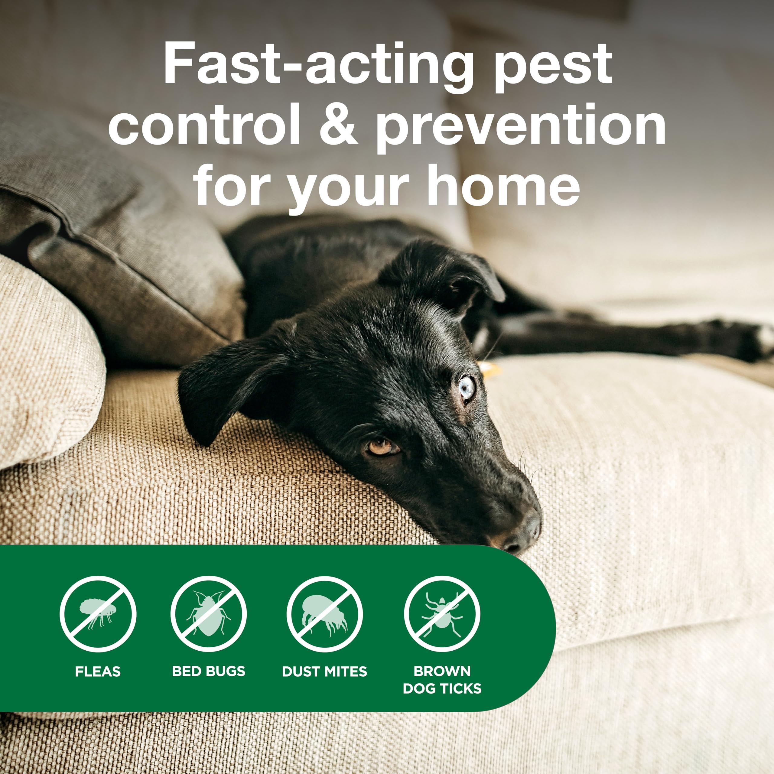 Advantage Spot & Crevice Spray on drapes to disrupt pest hiding spots.