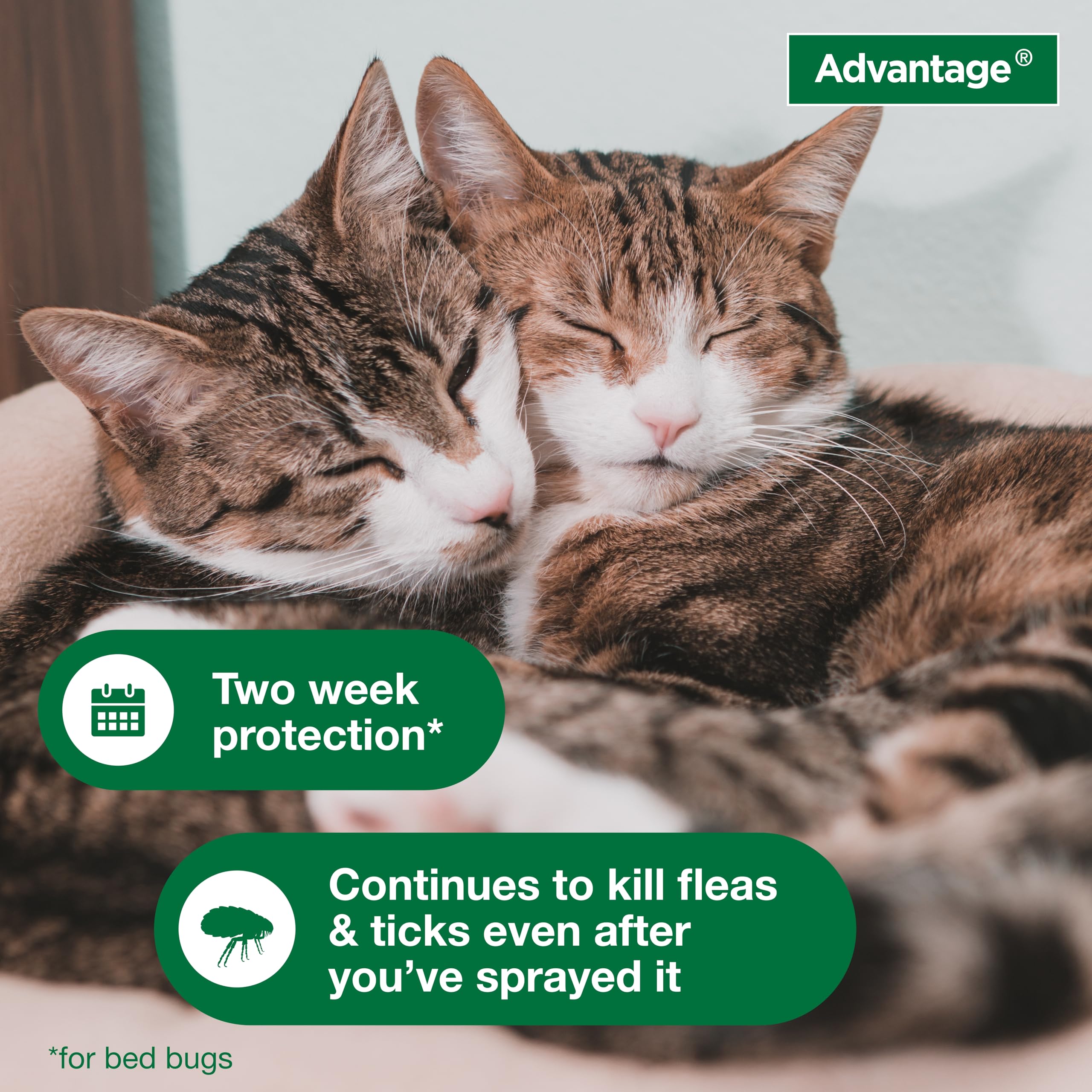 Advantage Spot & Crevice Spray treats luggage to limit travel pests.