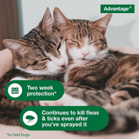 Advantage Spot & Crevice Spray treats luggage to limit travel pests.