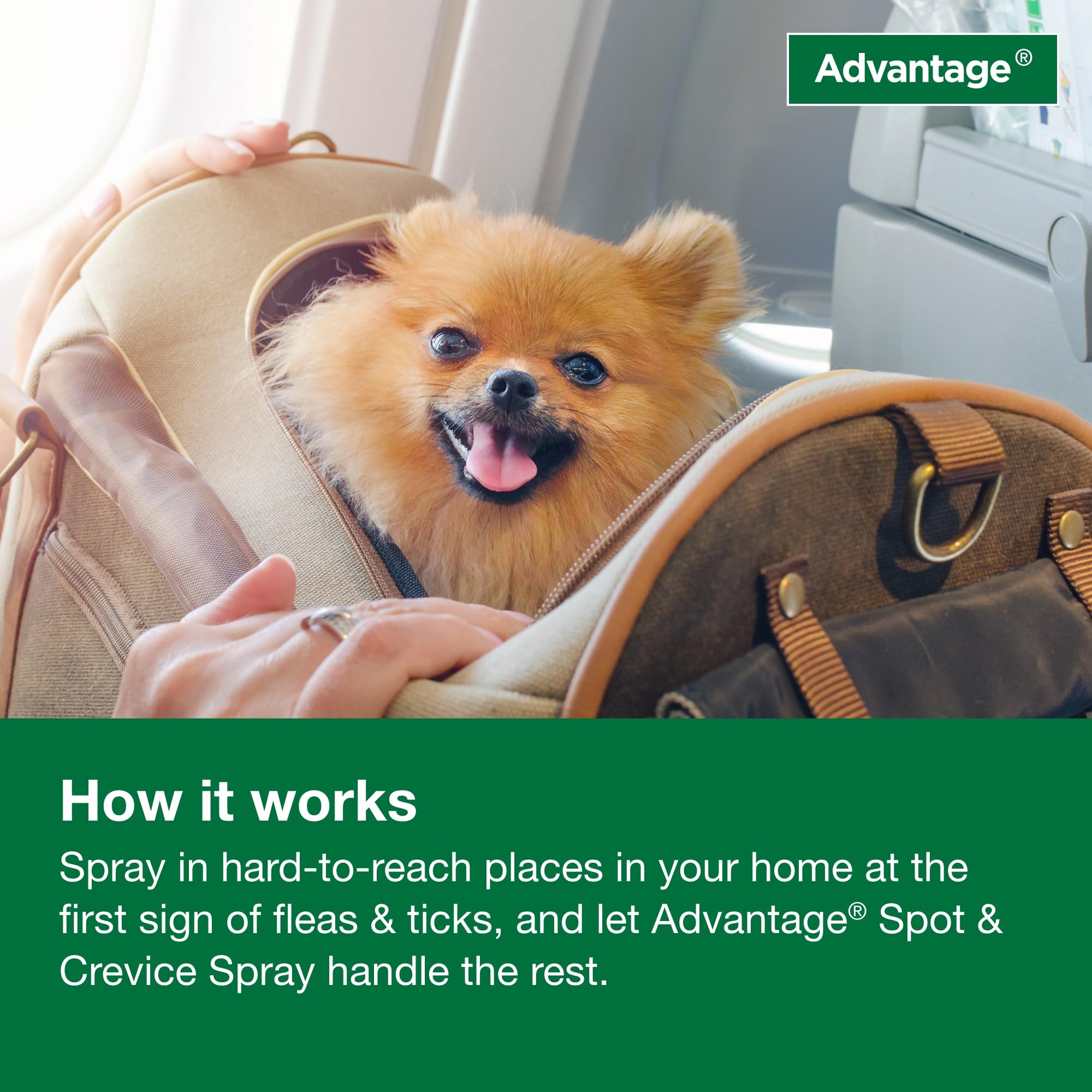 Advantage Spot & Crevice Spray reaches under appliances to tackle concealed pests.