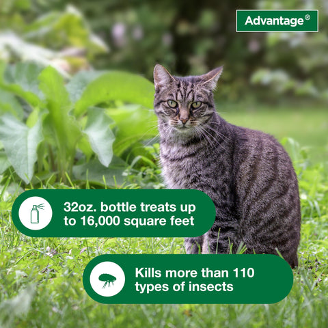 Advantage Yard & Premise Spray covers up to 16,000 square feet.