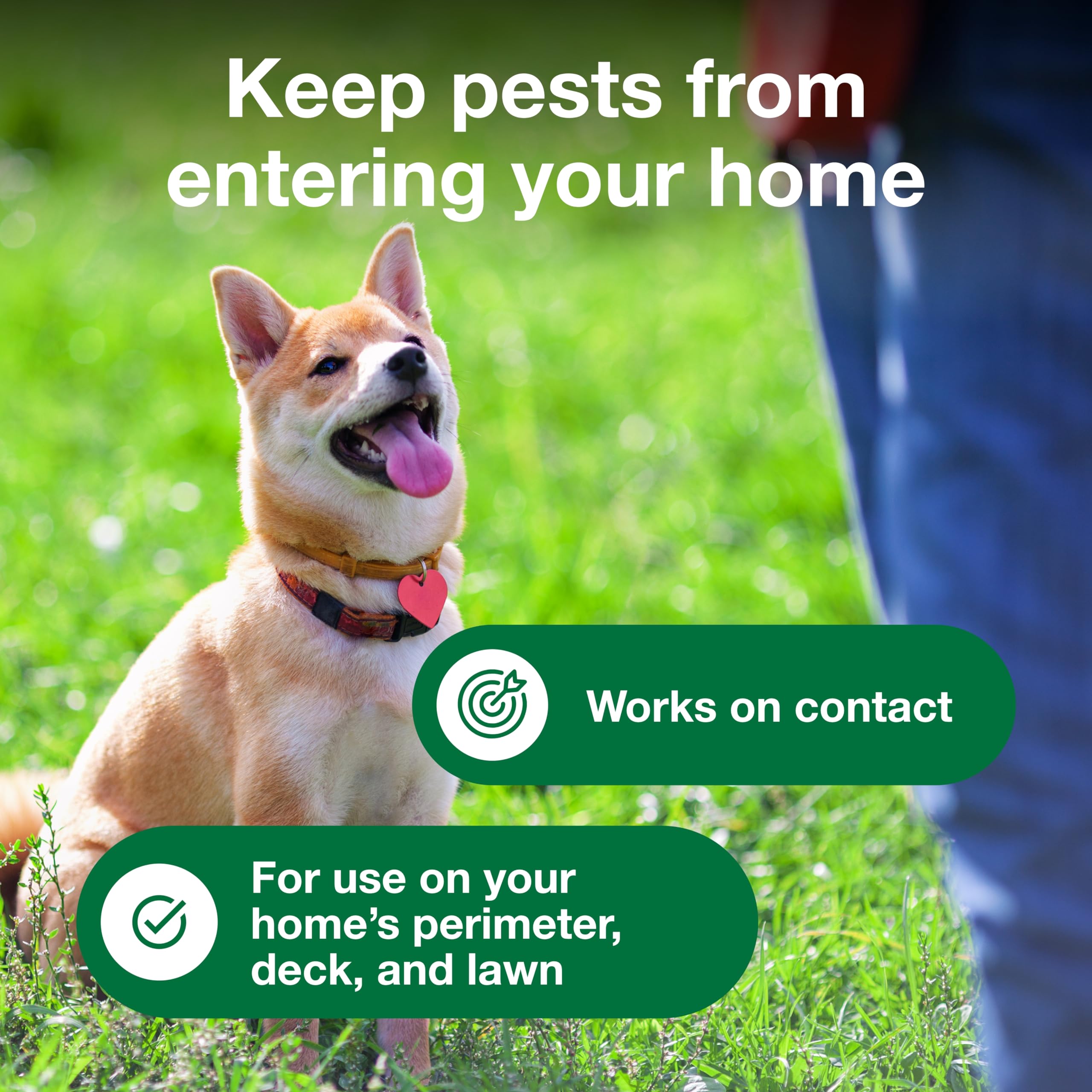 Advantage Yard & Premise Spray complements a full flea control program.
