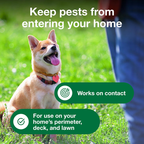 Advantage Yard & Premise Spray complements a full flea control program.
