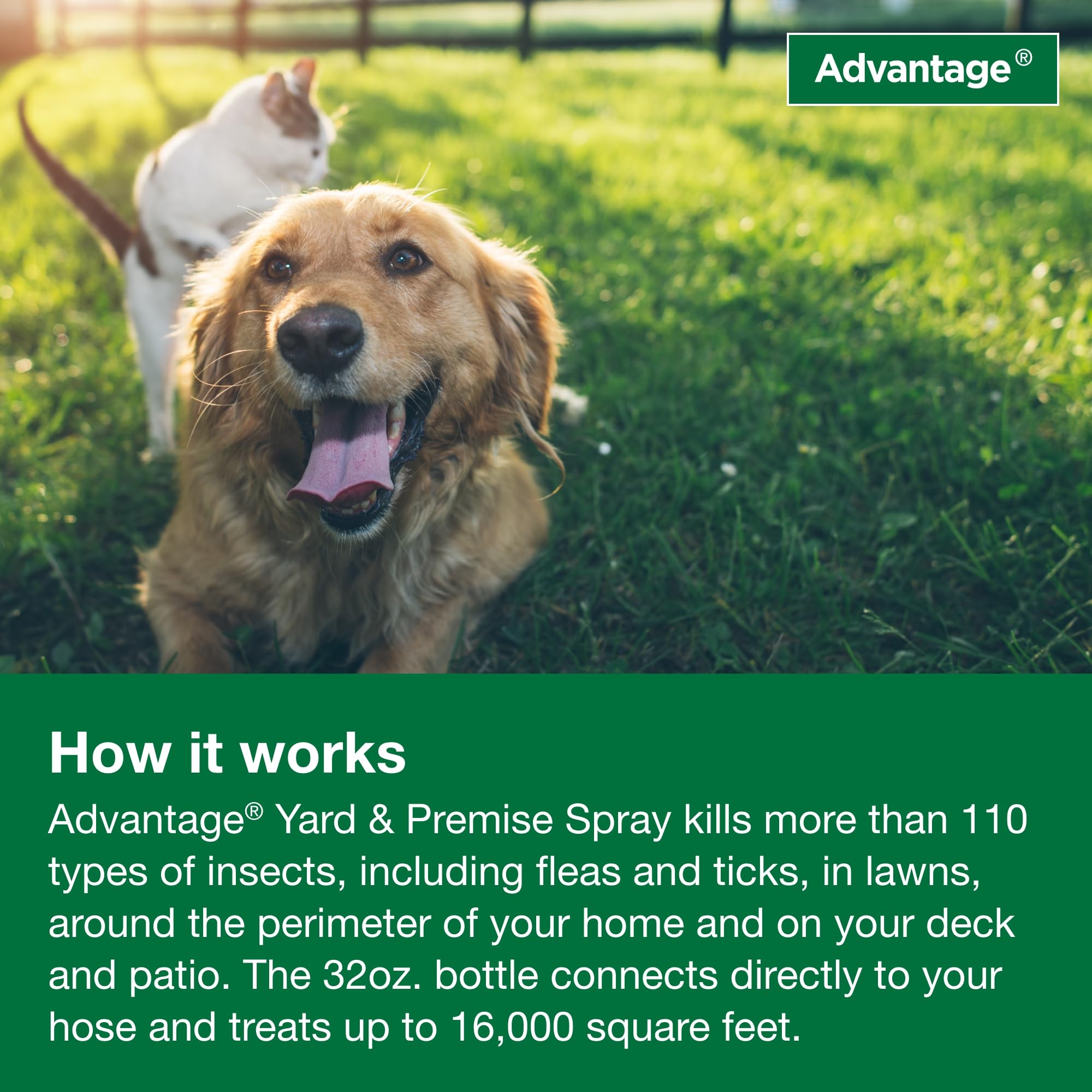 Advantage Yard & Premise Spray helps keep patios pest-free.