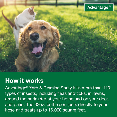 Advantage Yard & Premise Spray helps keep patios pest-free.
