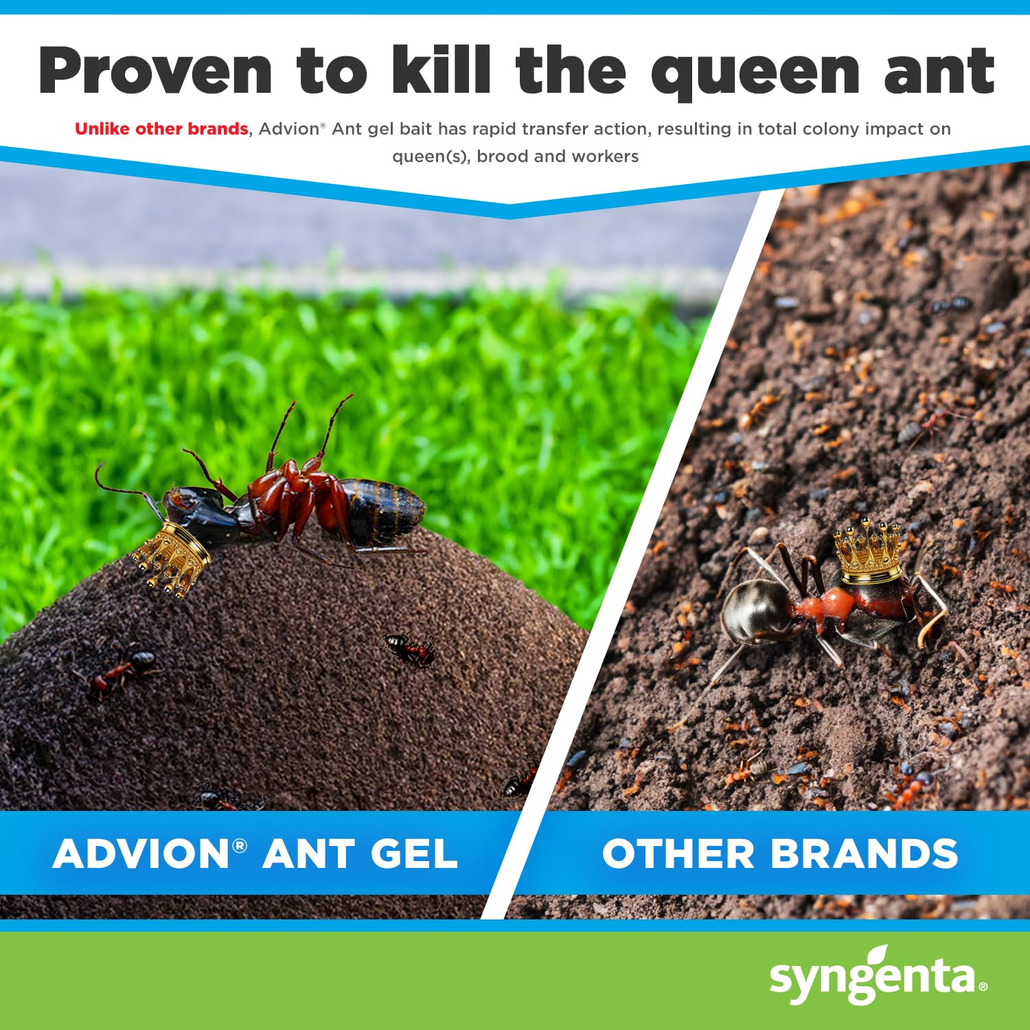 Advion Ant Gel Station designed for indoor use in homes and offices.