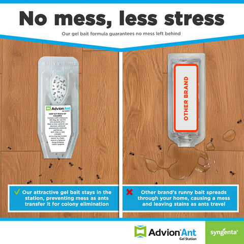 Advion ready-to-use bait station in packaging ready for placement