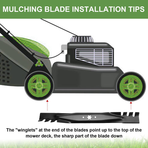 Aeagle blade edge with safety paint finish; wear-off indicates sharpening needs.