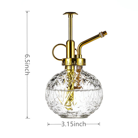 Aebor 7 oz watering spray bottle suitable for small houseplants.