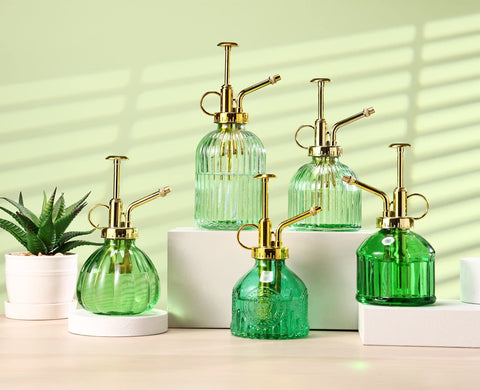 Aebor compact watering can ideal for small houseplants like orchids.