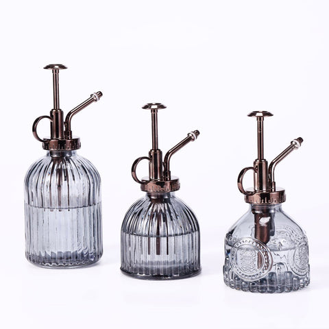 Aebor glass plant mister displayed as a decorative plant sprayer.