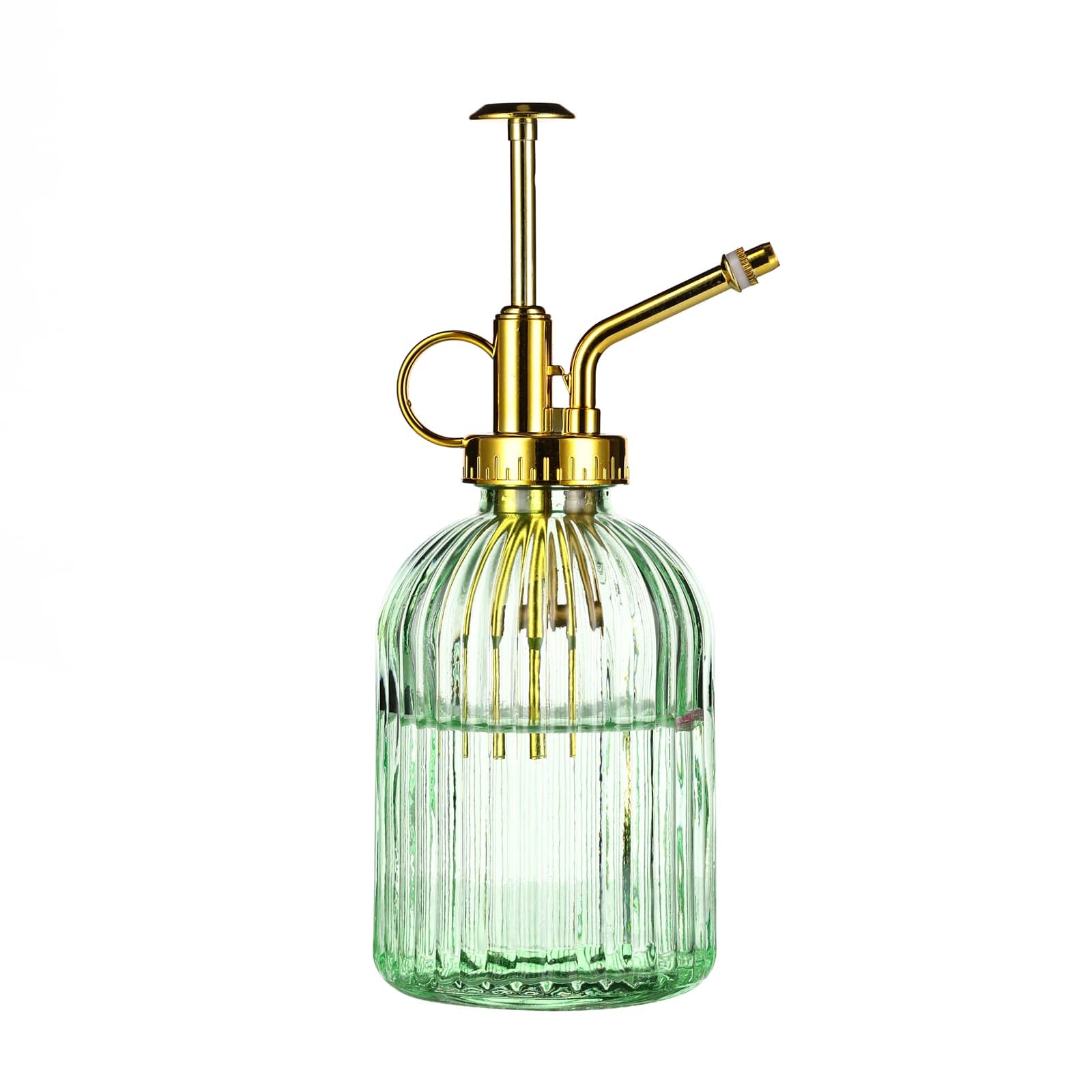 Aebor glass plant mister with green bottle and gold top for gentle indoor watering.