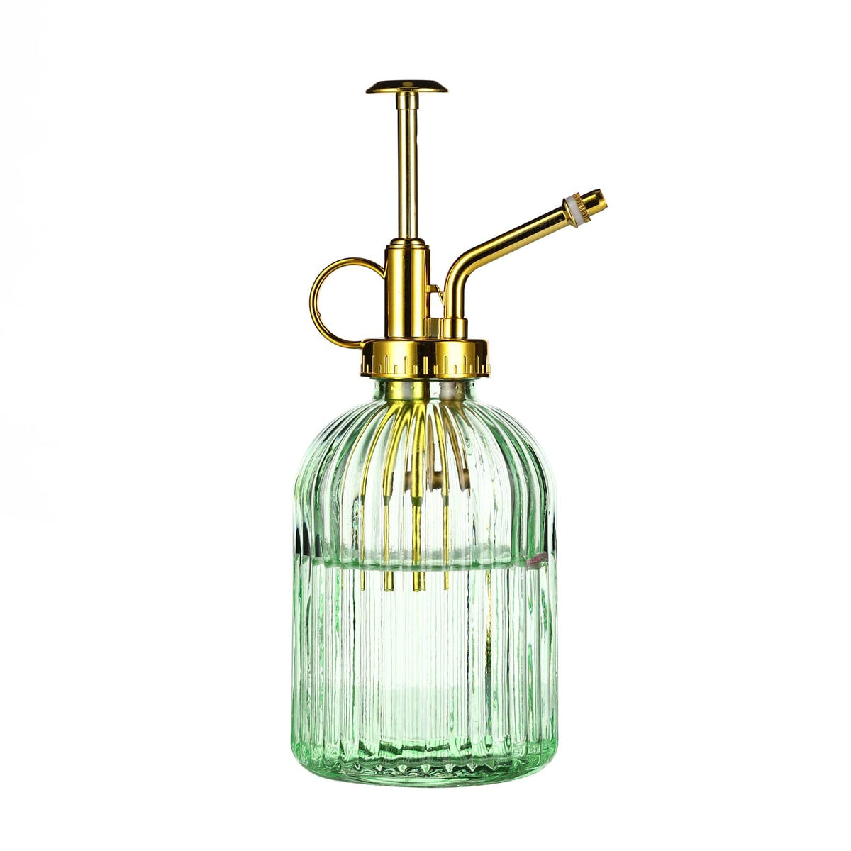Aebor glass plant mister with green bottle and gold top for gentle indoor watering.