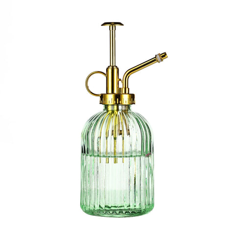 Aebor glass plant mister with green bottle and gold top for gentle indoor watering.