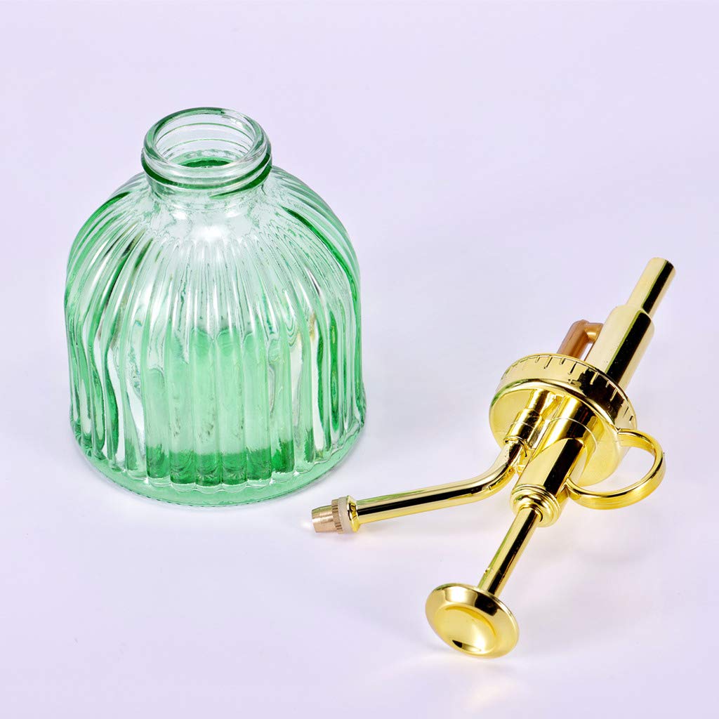 Aebor green thickened glass bottle, sturdy mister for routine plant care.