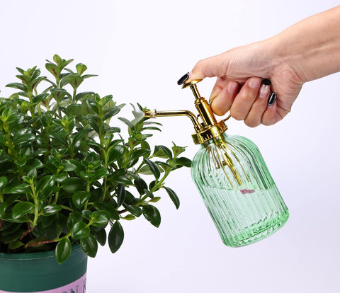 Aebor indoor-outdoor plant mister in action on a windowsill.