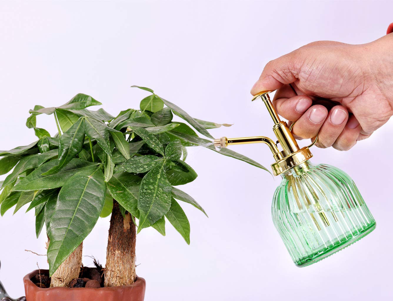 Aebor plant mister in home decor, suitable for windowsill plants.