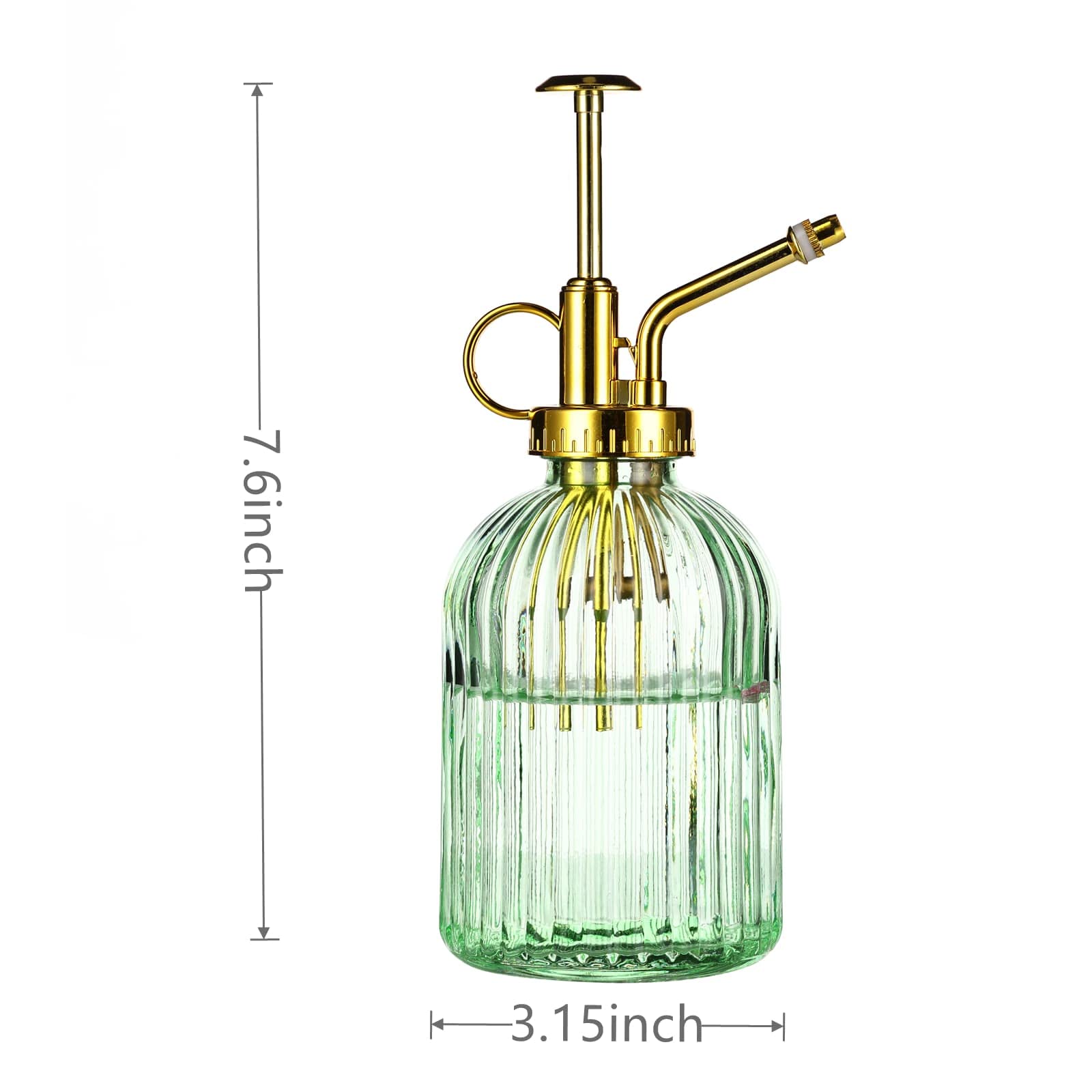 Aebor small spray bottle close-up ideal for misting succulents and ferns.