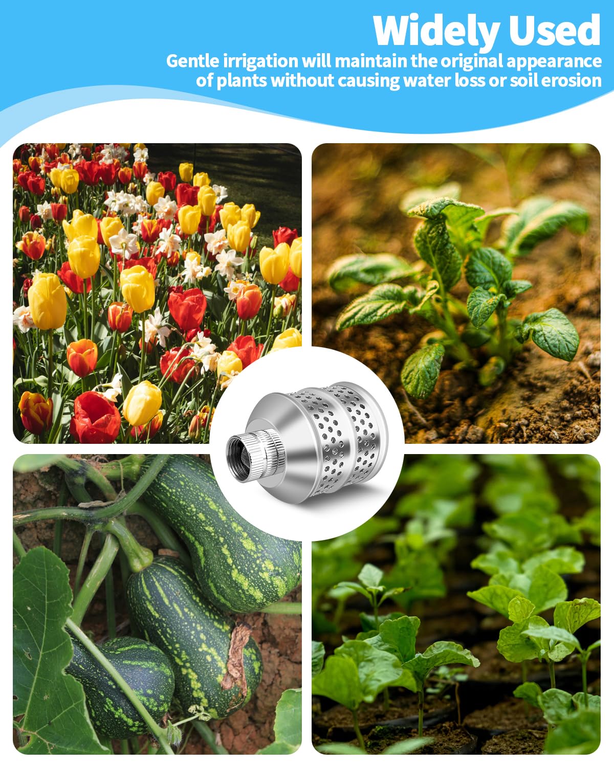 Aecsze diffuser provides even water distribution to protect roots.
