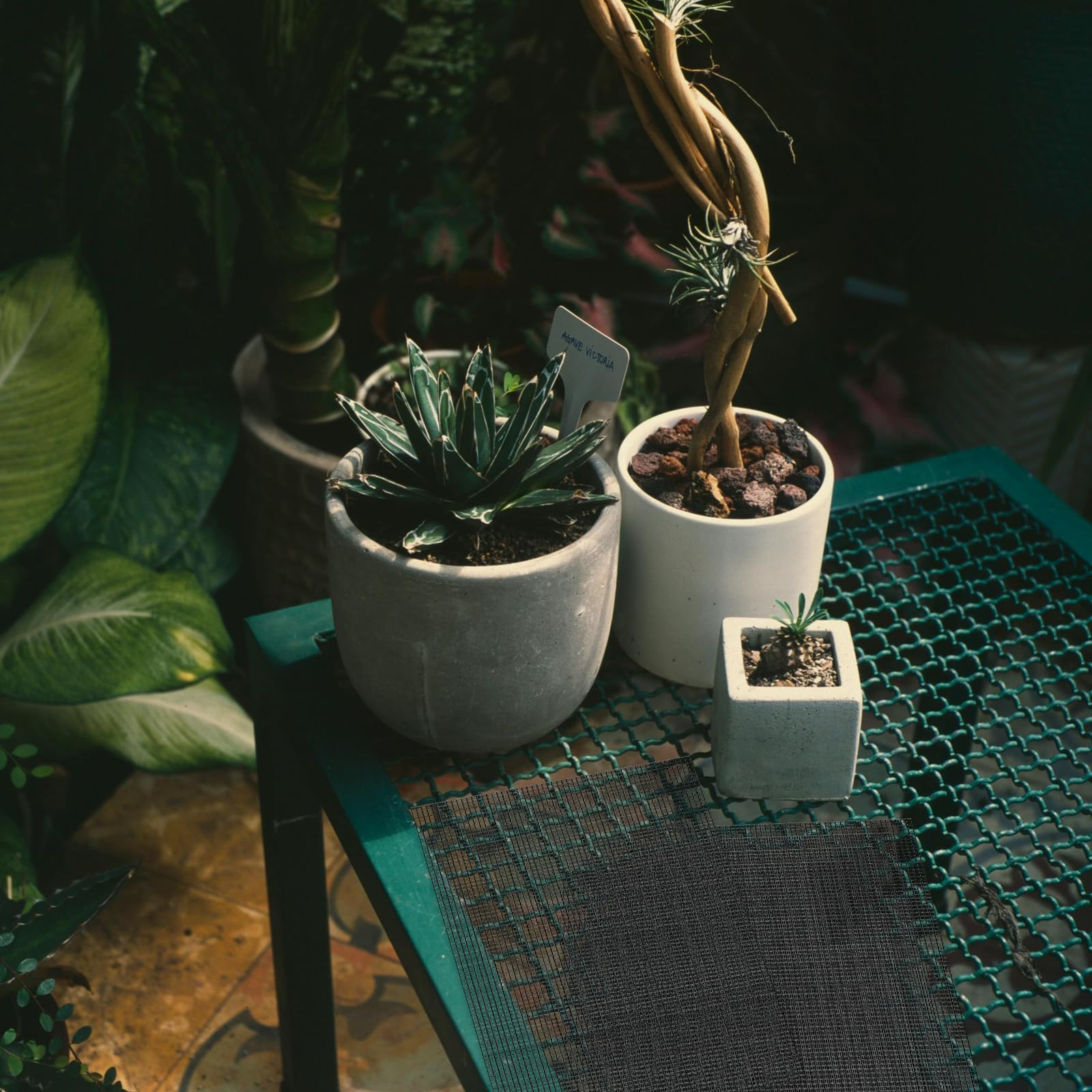 AEDOVE fine-drainage screen supports root airflow and healthier growth.