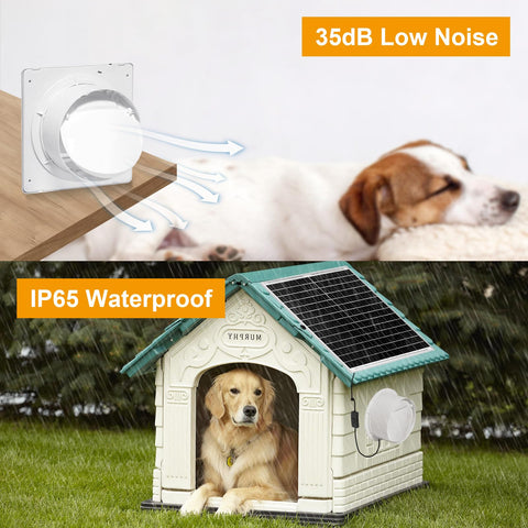 AEQ solar fan coop use showcases effective air circulation around hens without fuss.