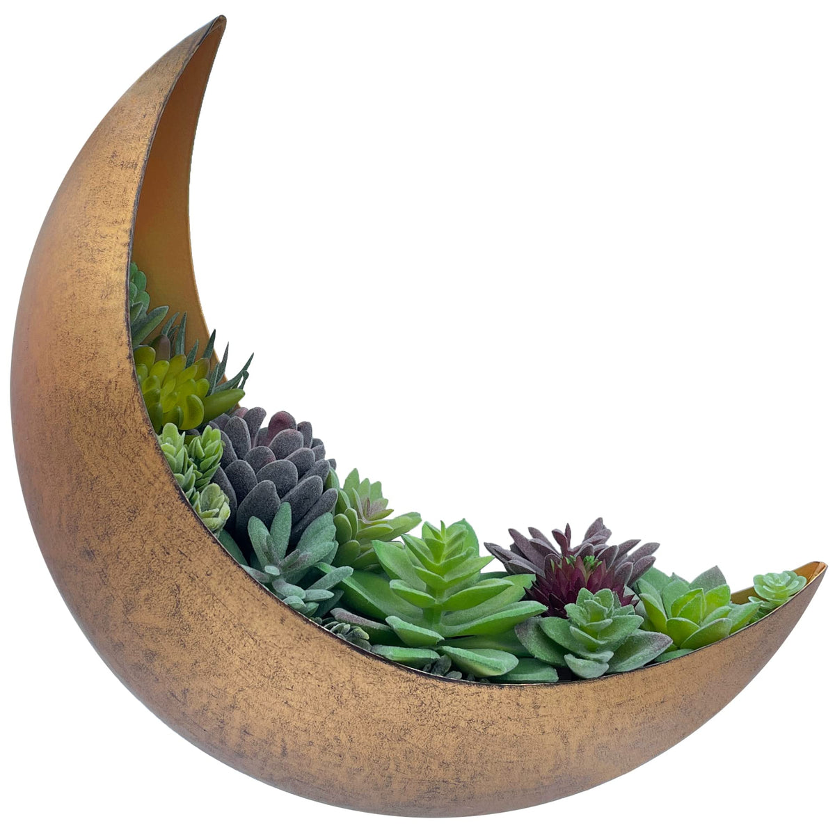AERLO Moon Wall Planter hanging moon decor for stylish indoor displays.