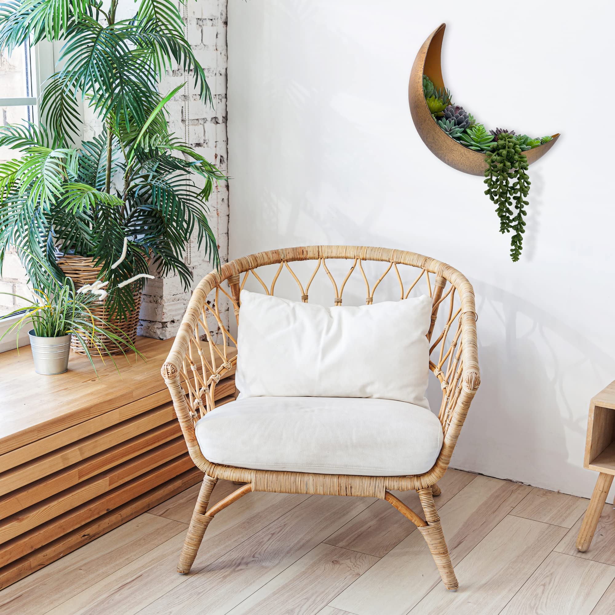 AERLO Moon Wall Planter gift-ready packaging for plant lovers.