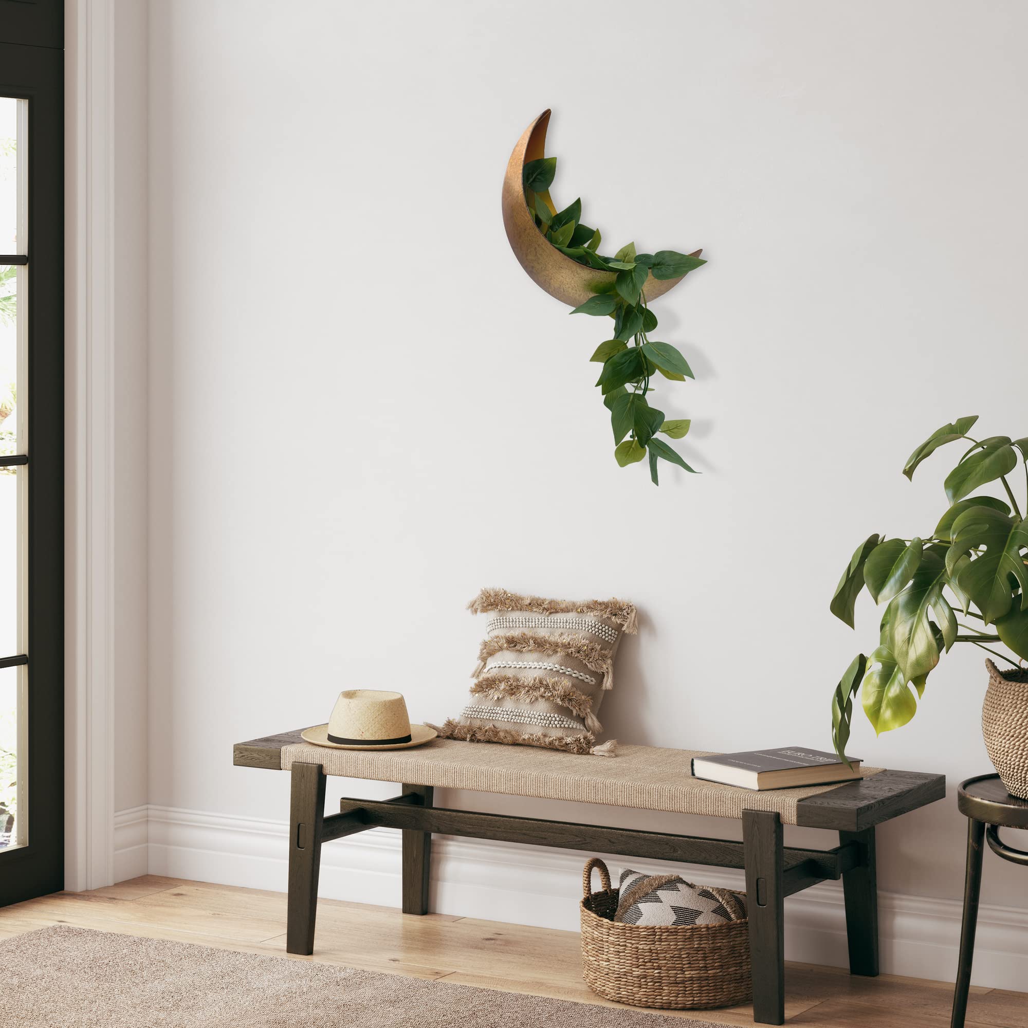 AERLO Moon Wall Planter with succulents for indoor boho vibes.