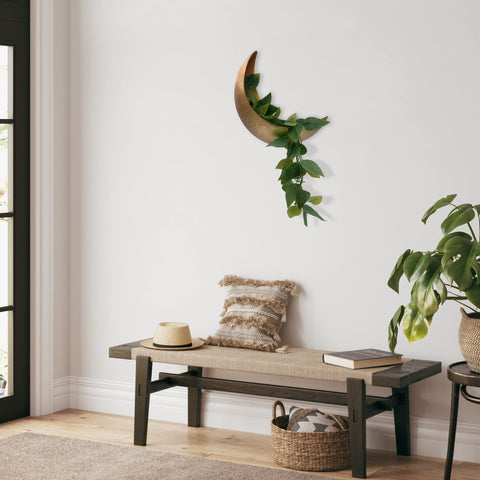 AERLO Moon Wall Planter with succulents for indoor boho vibes.