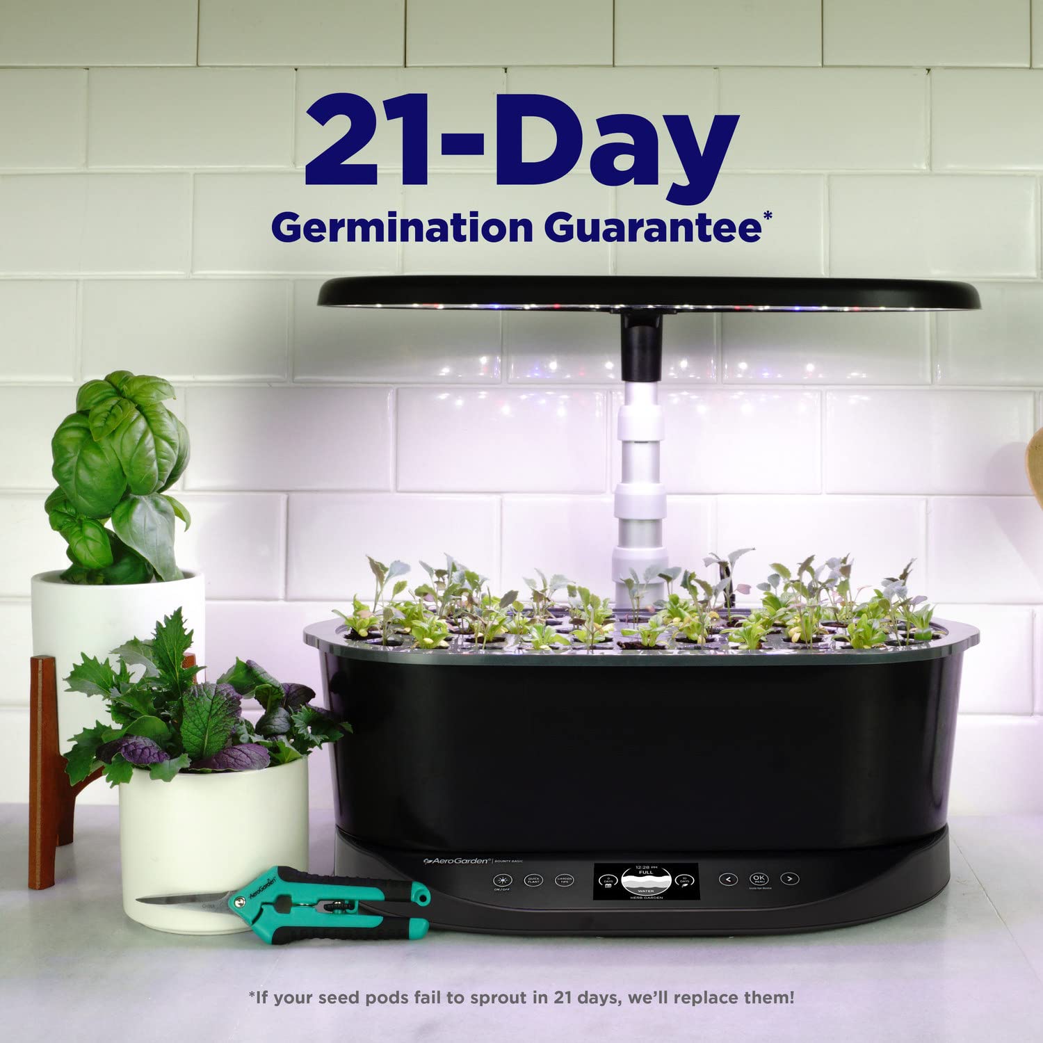 AeroGarden Bounty Basic water bowl emphasizes easy refilling and less mess during use