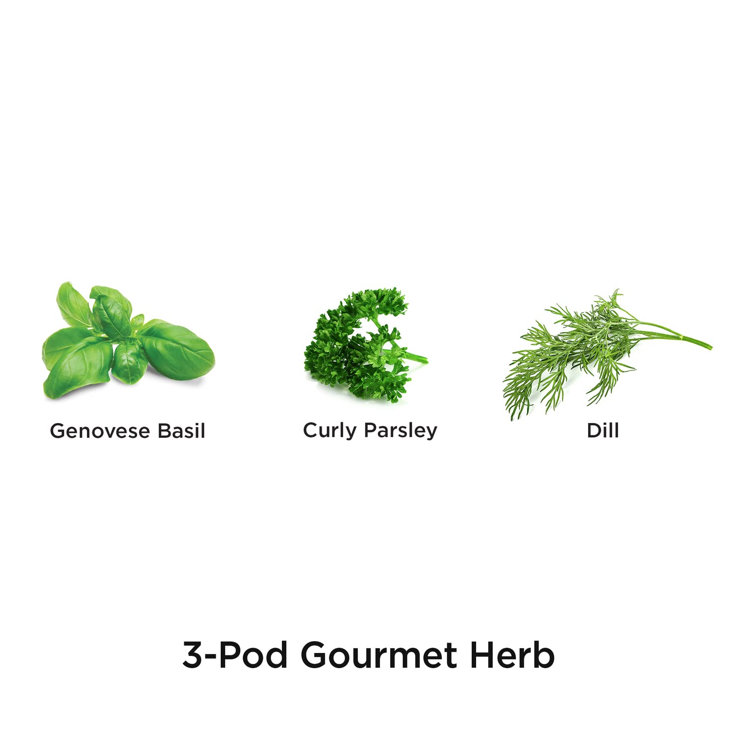 AeroGarden Gourmet Curly Parsley seed pod, year-round garnish