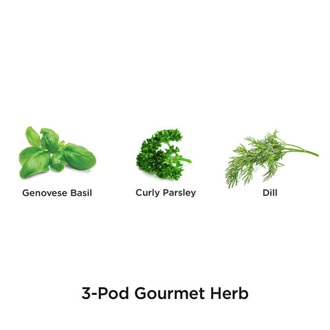 AeroGarden Gourmet Curly Parsley seed pod, year-round garnish