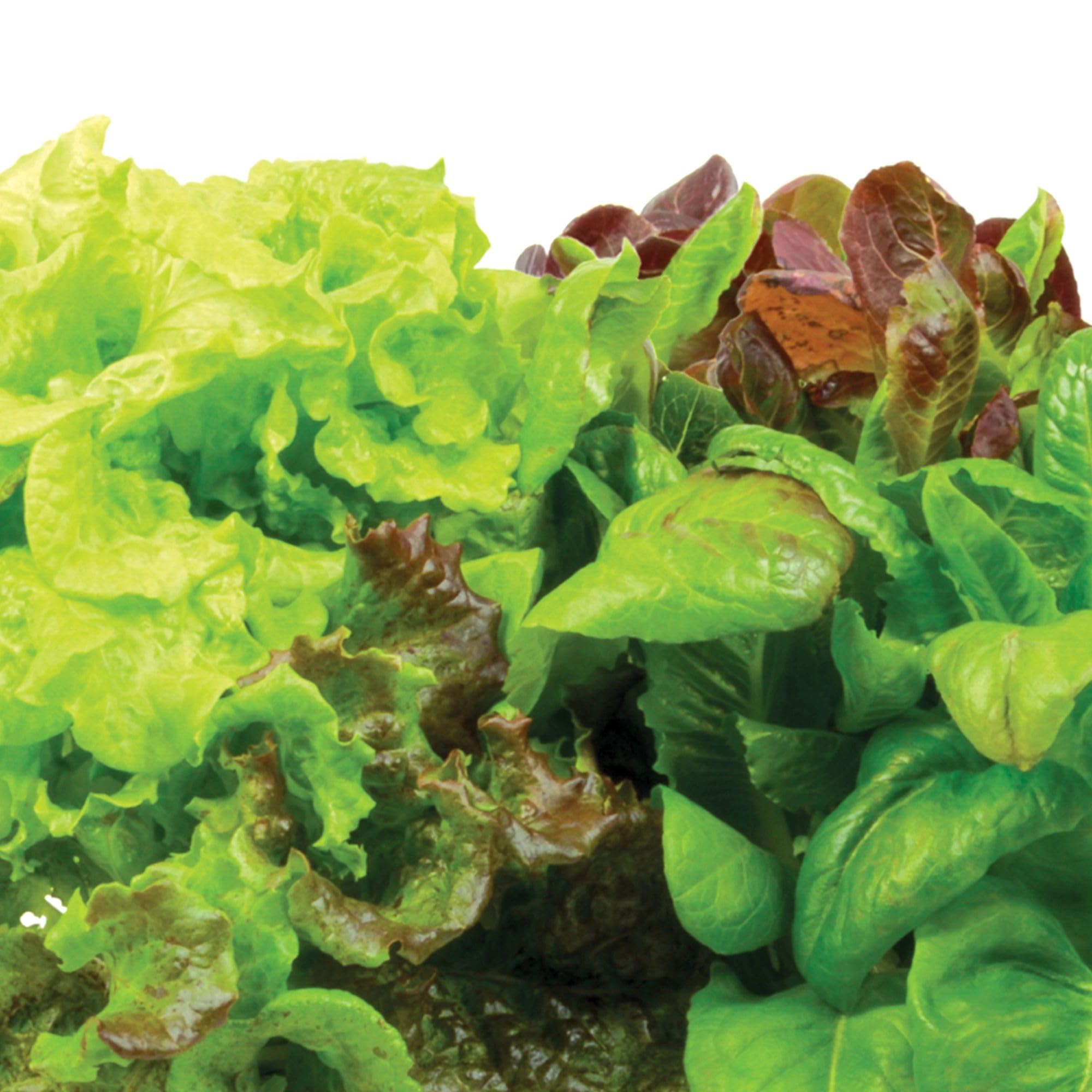 AeroGarden growing guide booklet with step-by-step instructions