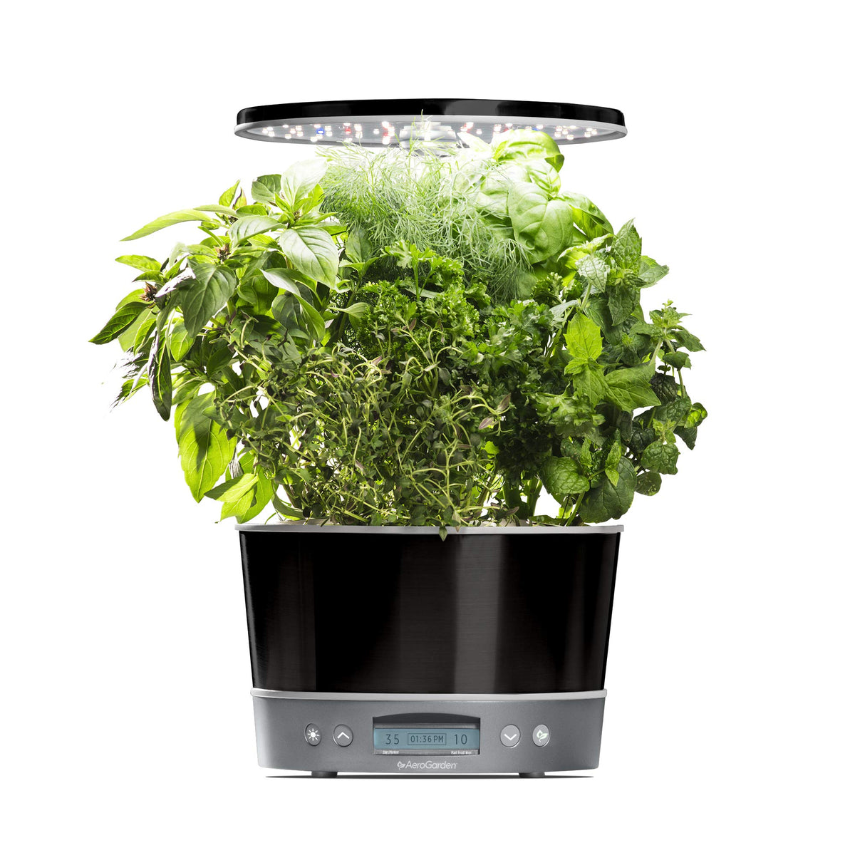 AeroGarden Harvest Elite 360 on countertop enabling year-round fresh herbs