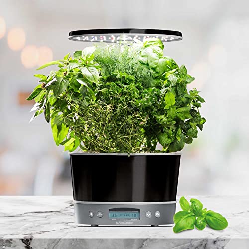 AeroGarden Dill pod delivers fresh aroma to salads and fish dishes