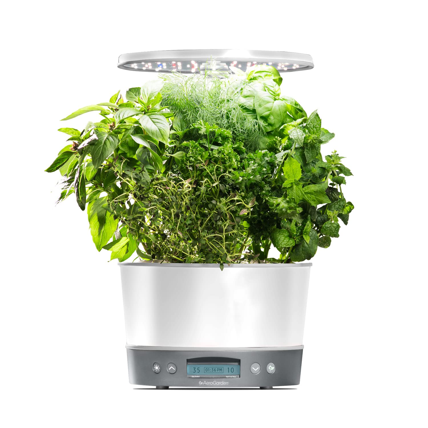 AeroGarden Harvest Elite 360 indoor garden on countertop supports year-round herbs.
