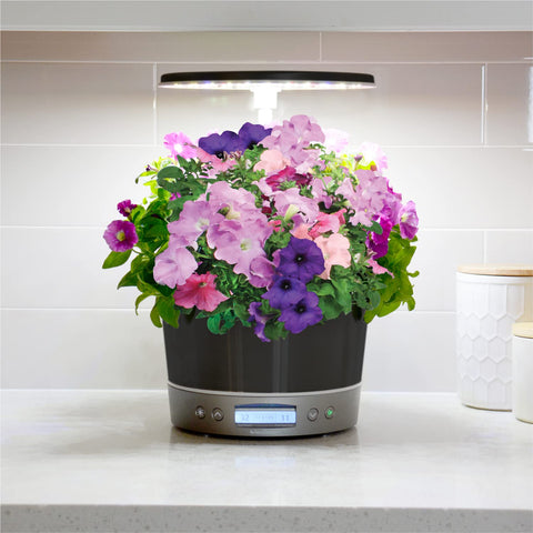 AeroGarden Harvest Elite 360 six-pod capacity supports multiple herbs or vegetables