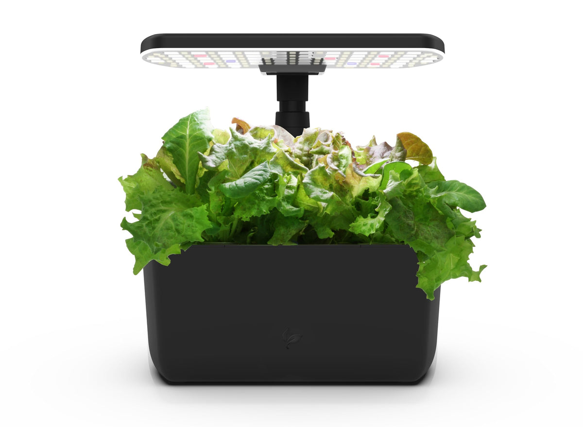 AeroGarden Harvest Lite black front view showing compact year-round herb garden