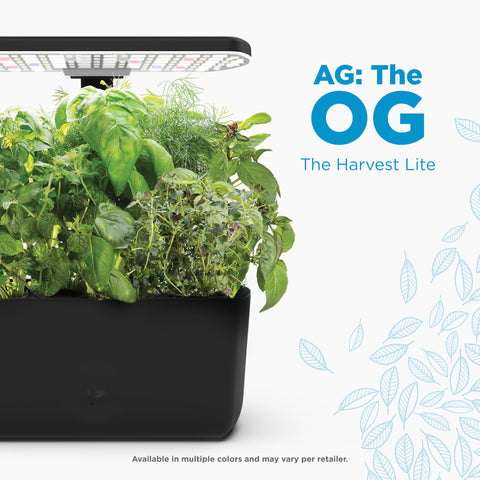 AeroGarden Harvest Lite black on kitchen counter for fresh herbs at hand