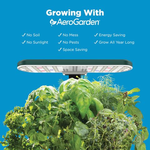 AeroGarden Harvest Lite compact design fits easily on a kitchen counter.