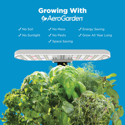 AeroGarden Harvest Lite cream showing six plant capacity for fresh herbs indoors