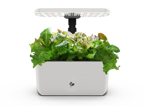 AeroGarden Harvest Lite cream exterior on a kitchen counter showing compact elegance and year‑round herbs