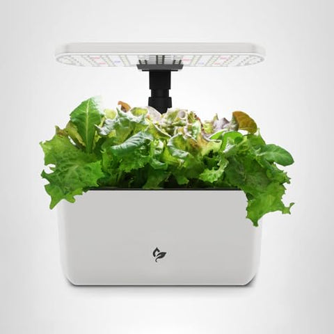 AeroGarden Harvest Lite cream suitable for office or dorm setups