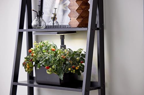 AeroGarden Harvest Lite suitable for dorms and office-friendly setups